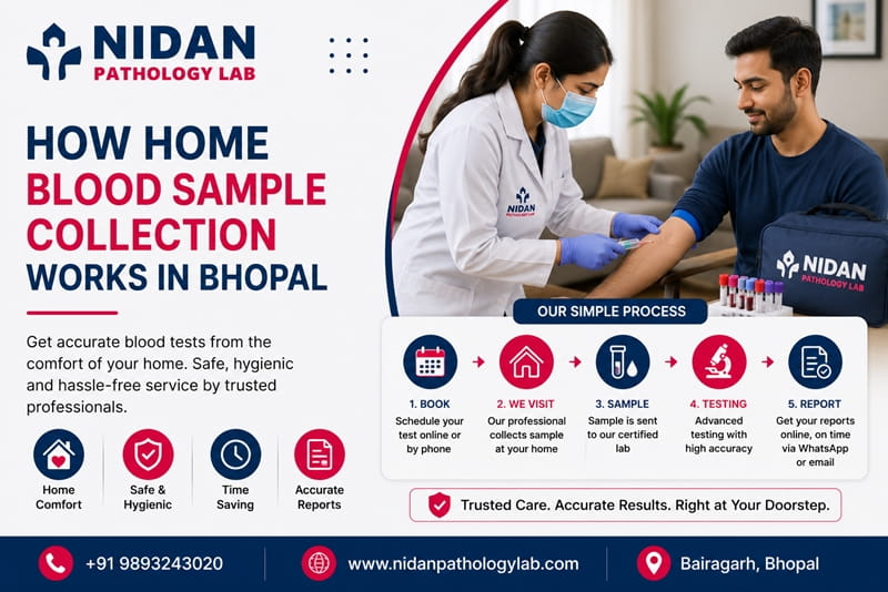Home blood sample collection process in Bhopal explained step by step by Nidan Pathology Lab technician