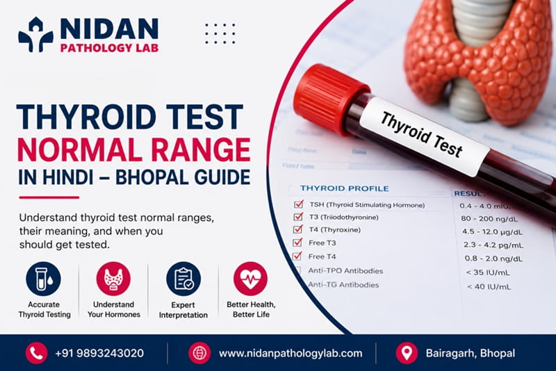 Thyroid test normal range chart in Hindi and English explained at Nidan Pathology Lab in Bhopal