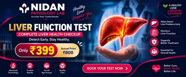 Liver Function Test offer at 399 rupees by Nidan Pathology Lab Bhopal